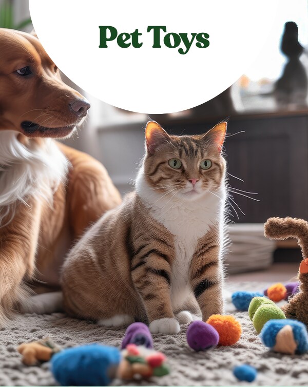Pet Toys